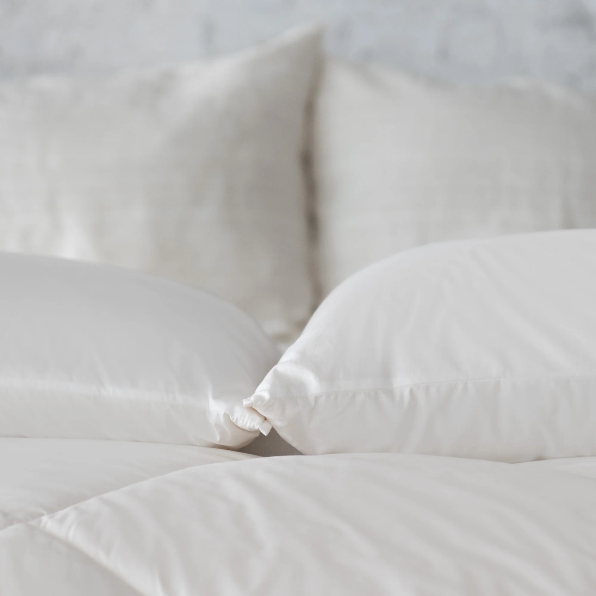 ORGANIC BEDDINGS AND PILLOWS